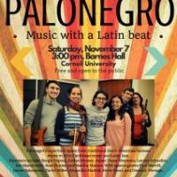  Palonegro, a Latino music group